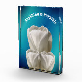 Tulip Blume Alles ist möglich Inspiration Fotoblock (Rechts)