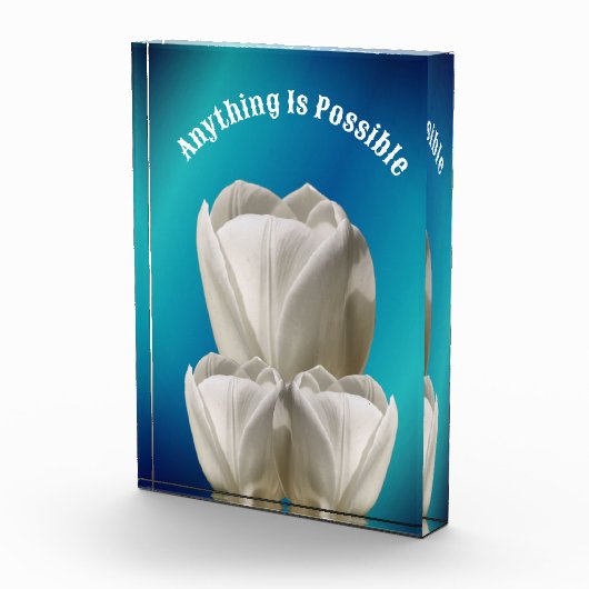 Tulip Blume Alles ist möglich Inspiration Fotoblock (Rechts)