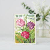 Tulip Blume Botanische Vintage Postkarte (Stehend Vorderseite)