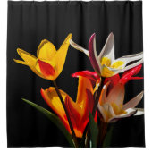 Tulip-Blume - Dunkel Geblüht Duschvorhang (Vorderseite)