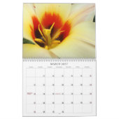 Tulip Blume Feier! Kalender Geschenke Tulips (Mär 2027)