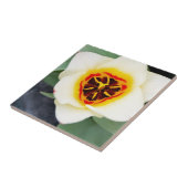 Tulip-Blume Fliese (Seite)