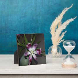 Tulip Blume Fotoplatte