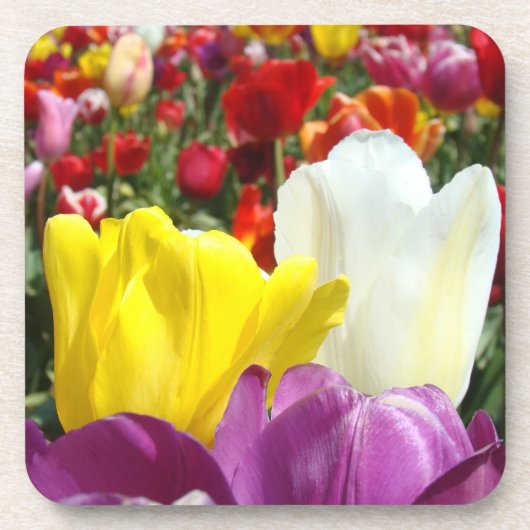 Tulip Blume Garden Untersetzer (Vorderseite)