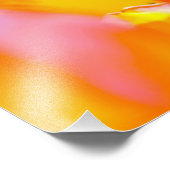 Tulip-Blume - Geblüht Fotodruck (Ecke)