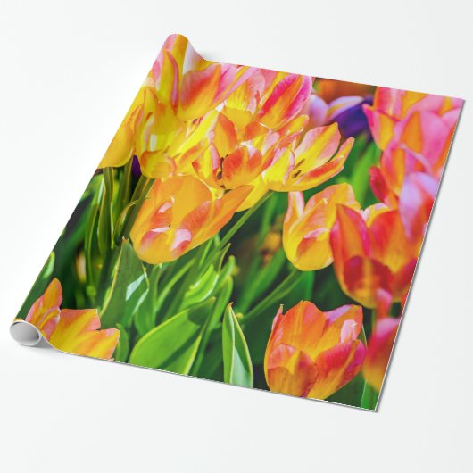 Tulip-Blume - Geblüht Geschenkpapier (Ungerollt)