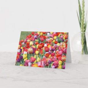Tulip Blume Grußkarte Karte