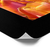 Tulip Blume Kunstdrucke Tulips Poster (Ecke)