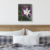Tulip Blume Leinwanddruck (Insitu (Schlafzimmer))