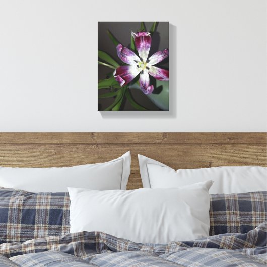 Tulip Blume Leinwanddruck (Insitu (Schlafzimmer))