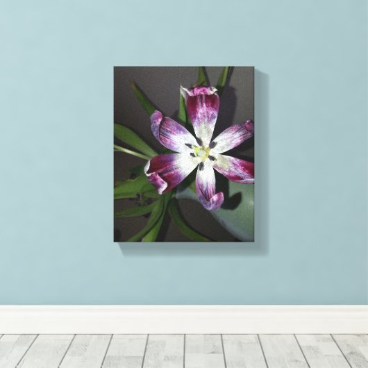 Tulip Blume Leinwanddruck (Insitu (Holzboden))