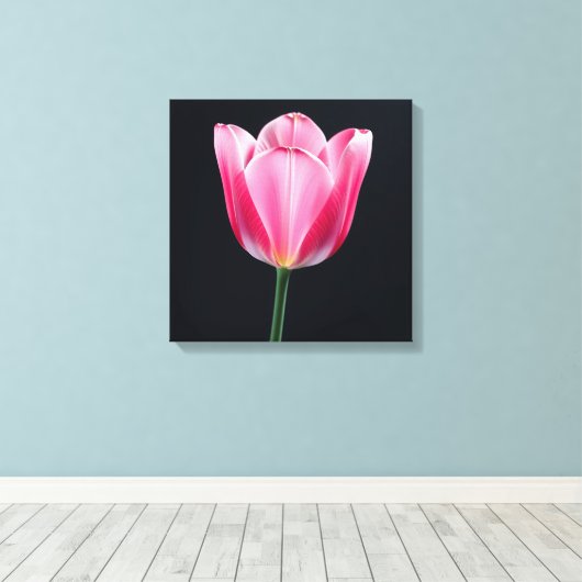 Tulip Blume Leinwanddruck (Insitu (Holzboden))