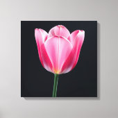 Tulip Blume Leinwanddruck (Vorderseite)