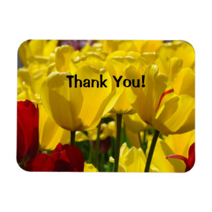 Tulip Blume Magnet Danke! Magnete Tulips