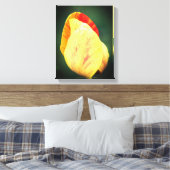 Tulip Blume Petals mit Raindropfen Nah Leinwanddruck (Insitu (Schlafzimmer))