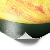 Tulip Blume Petals mit Raindrops Nah bis 8x10 Fotodruck (Ecke)
