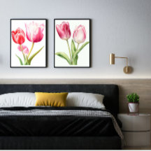 Tulip Blume, Pink Tulip, minimalistisch, botanisch