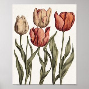 Tulip-Blume Poster