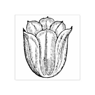 Tulip Blume Red Floral Botanical Holland Gummistempel