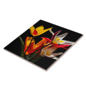Tulip-Blume vor schwarzem Hintergrund Fliese (Seite)
