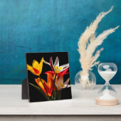 Tulip-Blume vor schwarzem Hintergrund Fotoplatte (InSitu)