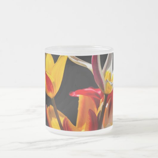 Tulip-Blume vor schwarzem Hintergrund Mattglastasse (Mittel)