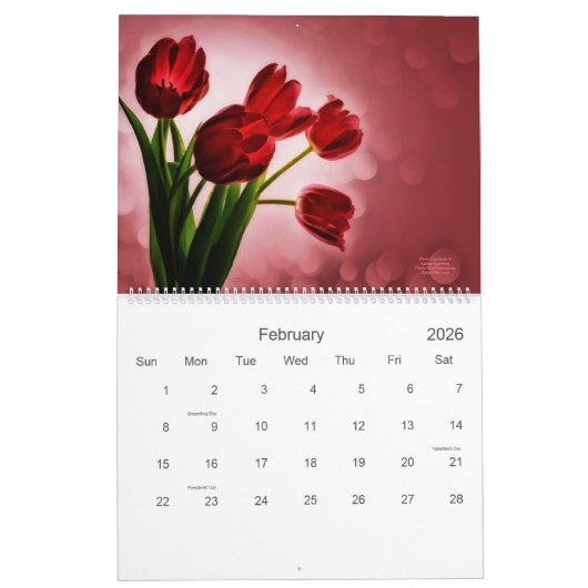 Tulip Blumengärten 12 Monate Kalender Länge (Feb 2026)