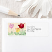 Tulip, botanische Rücksendeadresse (Insitu)