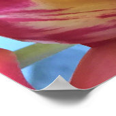 Tulip Bouquet Poster (Ecke)
