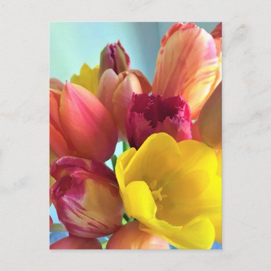 Tulip Bouquet Postkarte (Vorderseite)