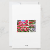 Tulip Briefpapier (Rückseite)