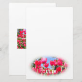 Tulip Briefpapier (Vorne/Hinten)