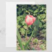 Tulip Briefpapier (Vorne/Hinten)