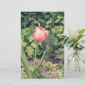 Tulip Briefpapier (Stehend Vorderseite)