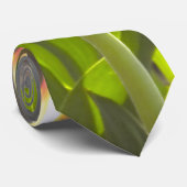 Tulip Bud Krawatte (Gerollt)