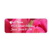 Tulip Bulbs Mailing Label (Vorne)