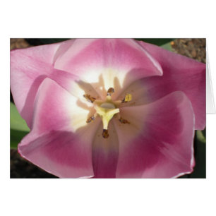 Tulip Burst~Danke! Grußkarten