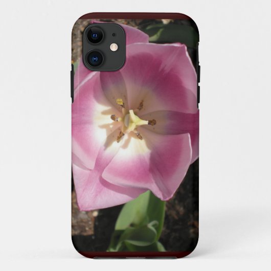 Tulip Burst~Telefongehäuse Case-Mate iPhone Hülle (Rückseite)
