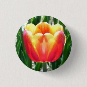 Tulip Button