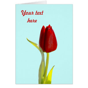 Tulip Cards