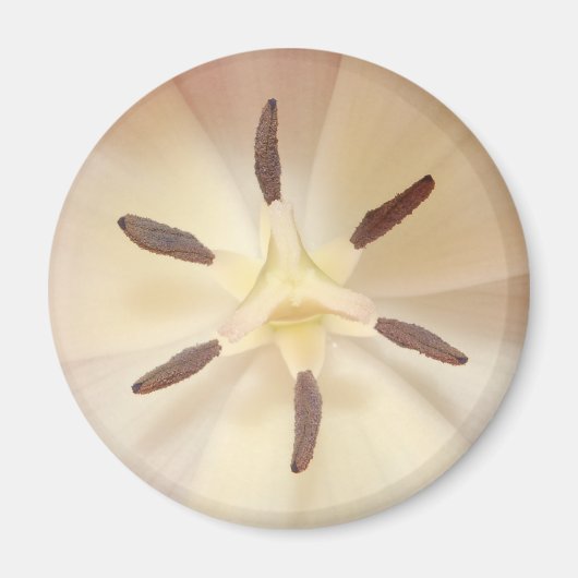 Tulip Center Magnet (Vorne)