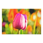 Tulip Collage Fotodruck (Vorne)
