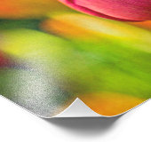 Tulip Collage Fotodruck (Ecke)