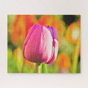 Tulip Collage Puzzle