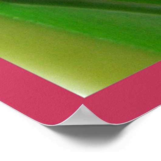 Tulip Colors Poster (Ecke)