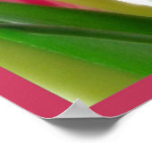 Tulip Colors Poster (Ecke)