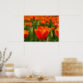 Tulip Delight 2 Poster (Küche)