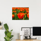 Tulip Delight 2 Poster (Heimbüro)