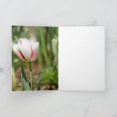 Tulip Delight Karte (Innenseite)