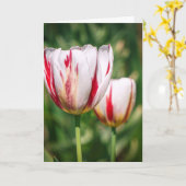 Tulip Delight Karte (Gelbe Blume)
